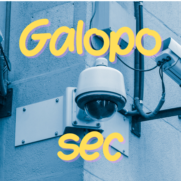 Piero Seguridad