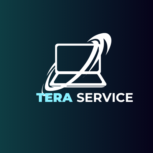 Teraservice